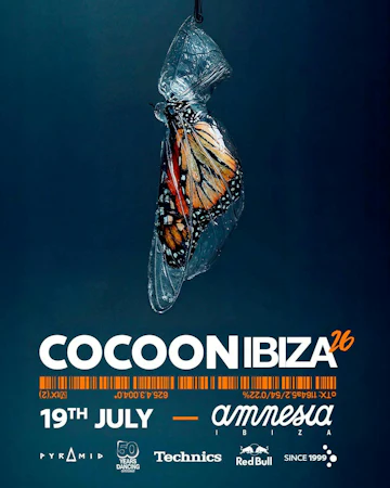 Amnesia