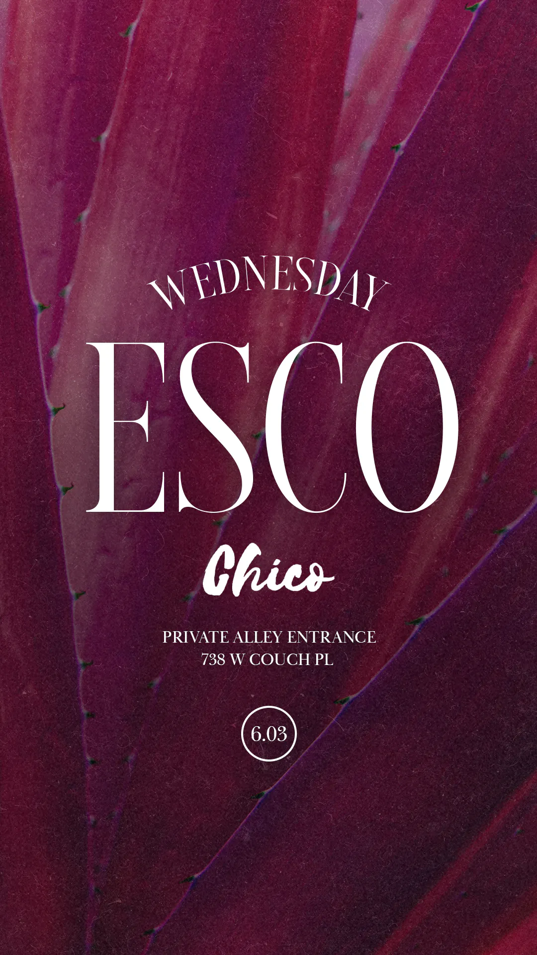 "House De Gringo" Wednesdays