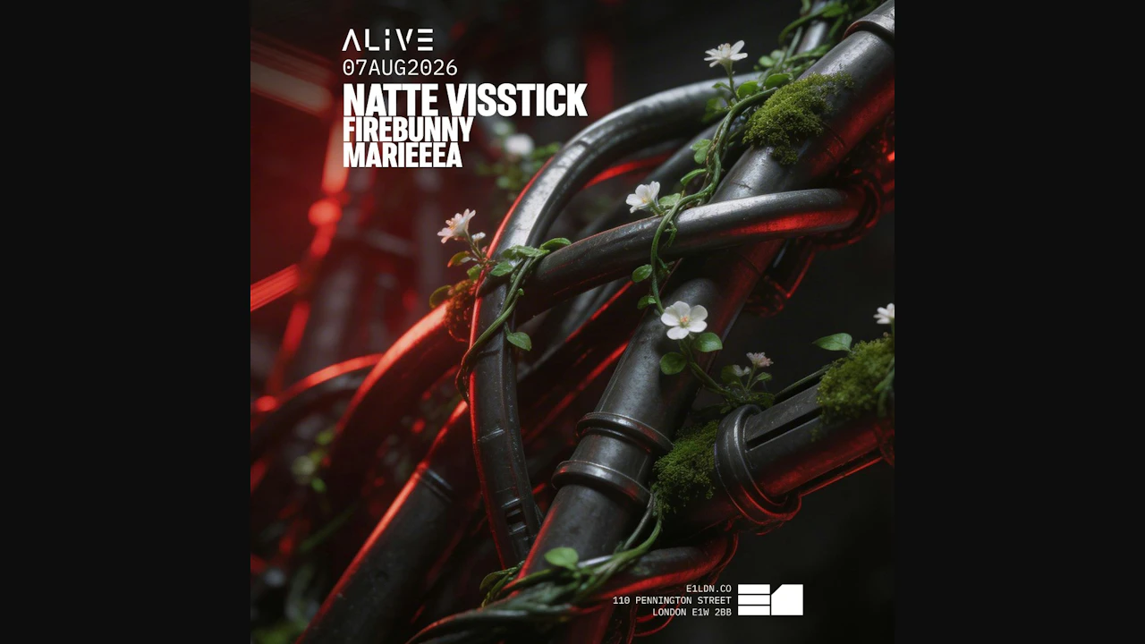 Natte Visstick