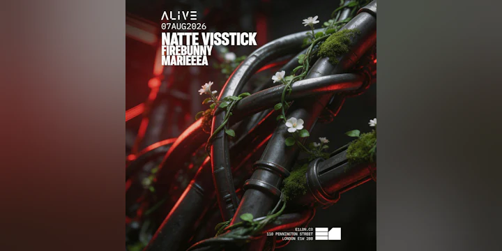 Natte Visstick