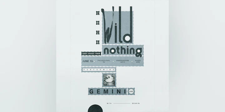 Wild Nothing