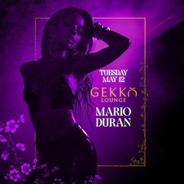 Gekko Lounge