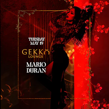 Gekko Lounge