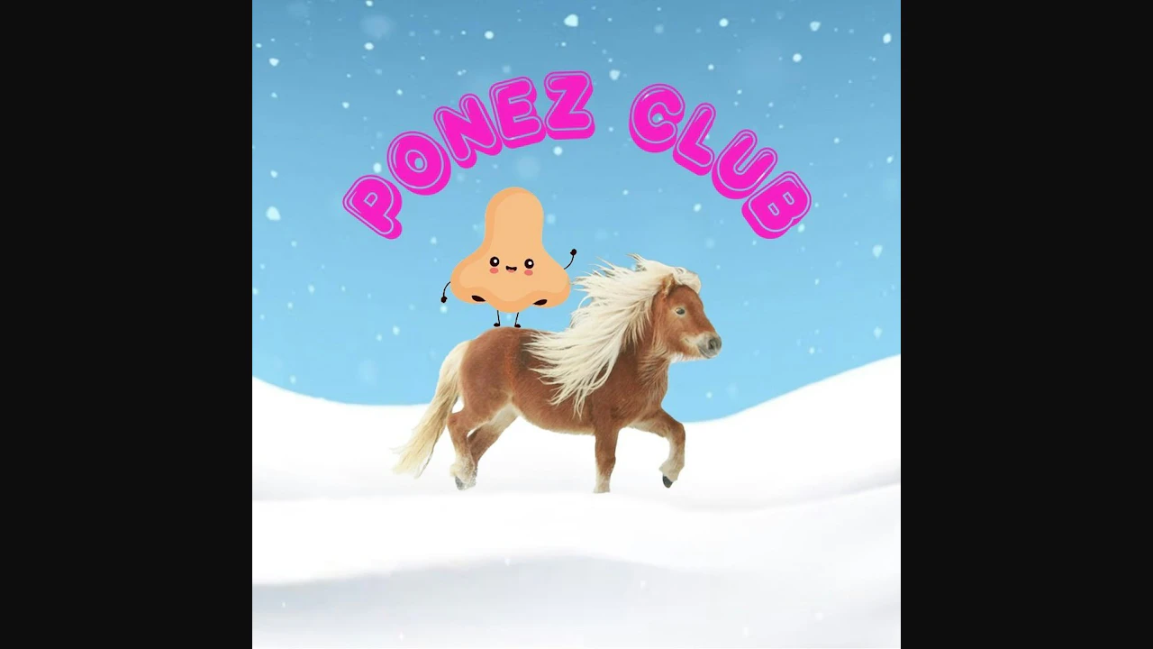 Aeromix & Ponez Club @Lajava