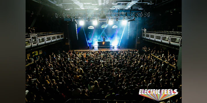 Electric Feels