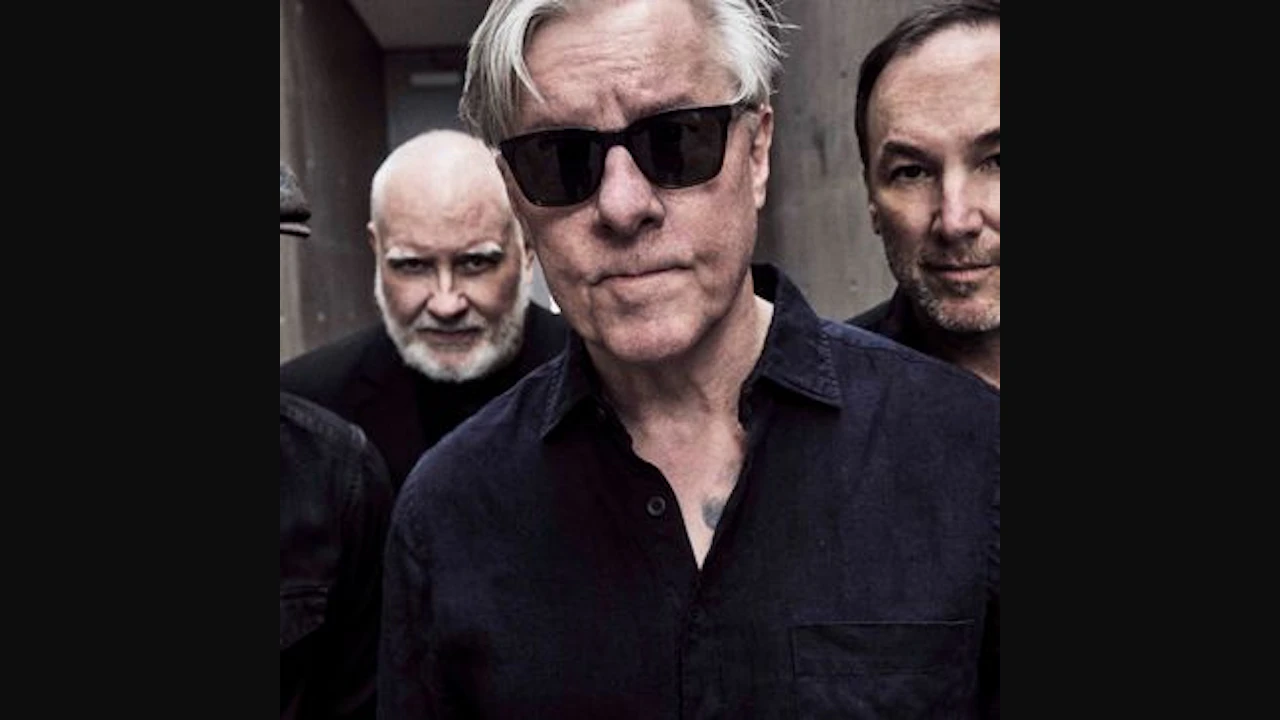 Toadies