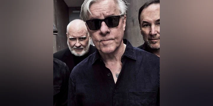 Toadies