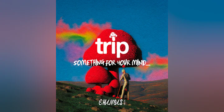 Trip