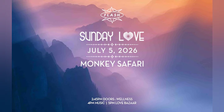 Sunday Love: Monkey Safari