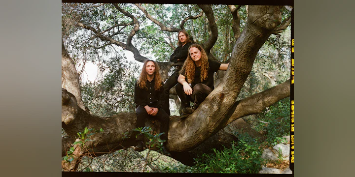 Primitive Ring