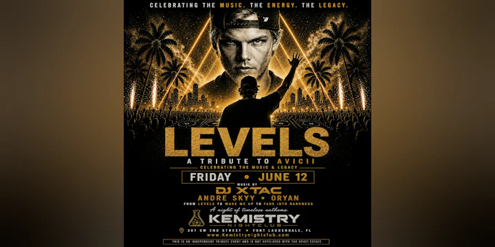 Levels : A Tribute to Avicii