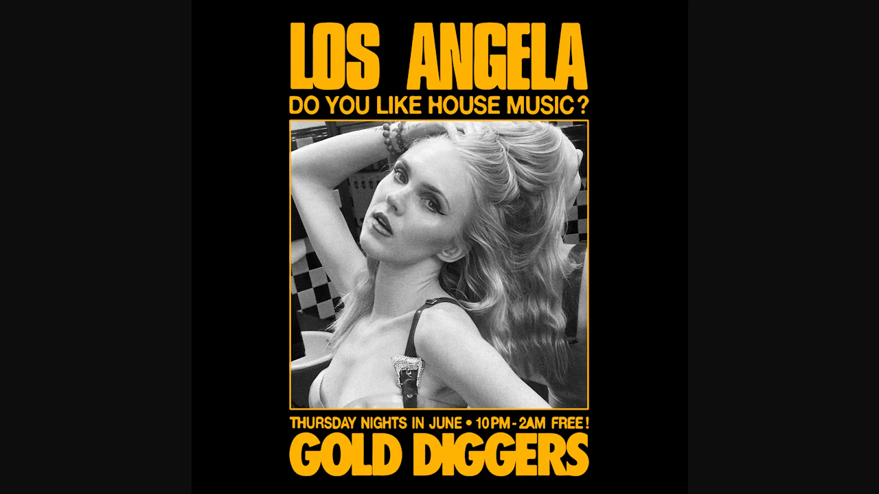 Do You Like House Music?