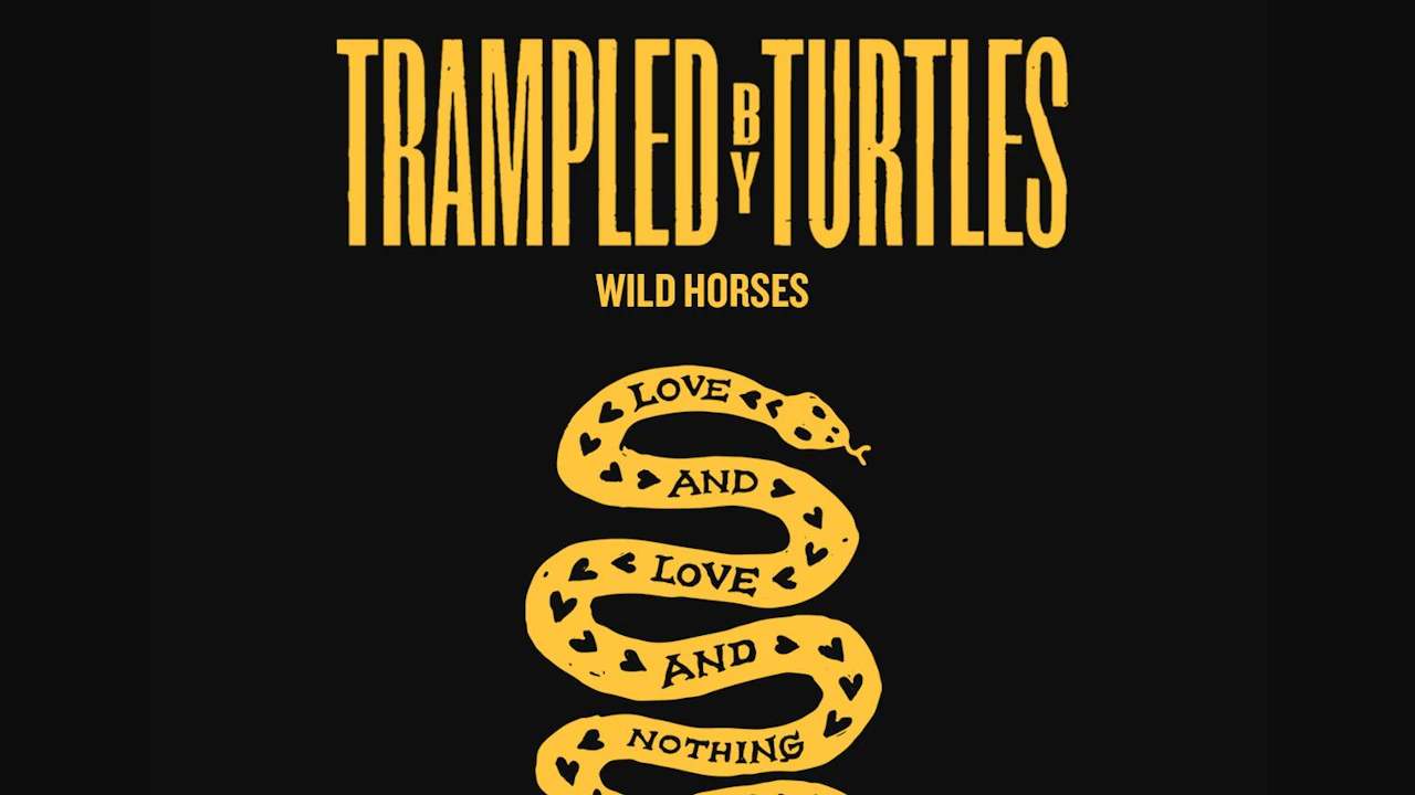 Trampled by Turtles