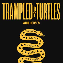 Trampled By Turtles