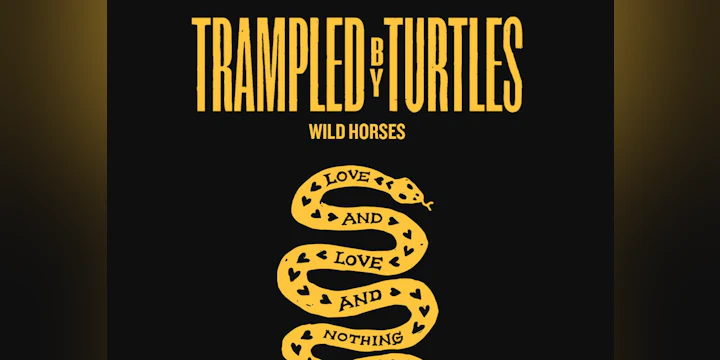 Trampled by Turtles
