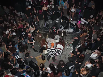 Lowbrow Palace