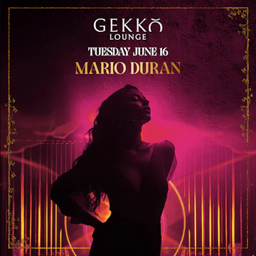 Gekko Lounge