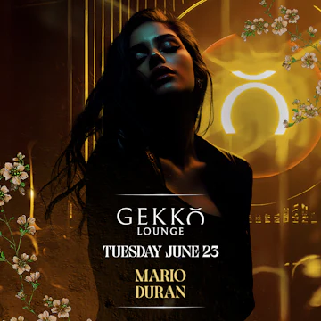 Gekko Lounge