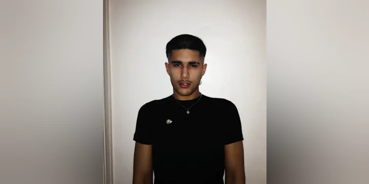 fakemink