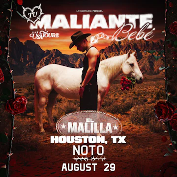NOTO HTX