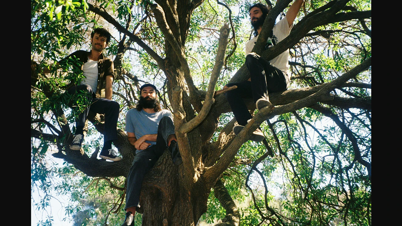 O.R.B. + Support: Pult
