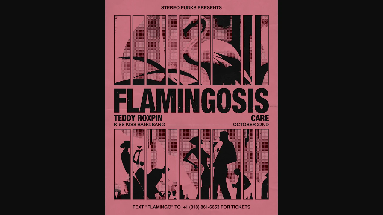 Stereo Punks Presents Flamingosis