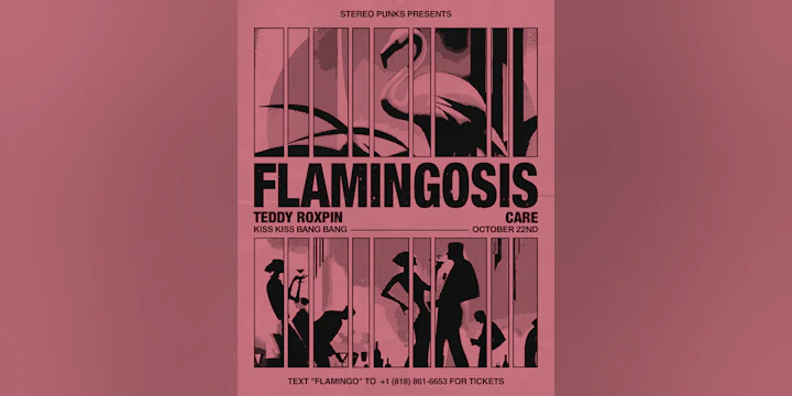 Stereo Punks Presents Flamingosis