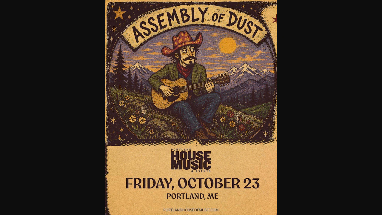 Assembly of Dust