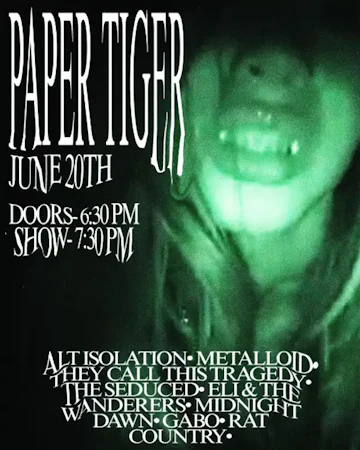 Paper Tiger