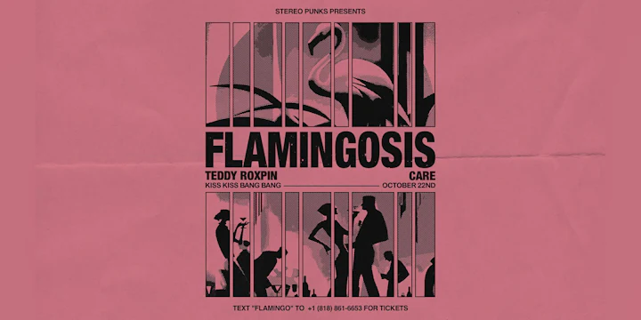 Flamingosis in L.a.
