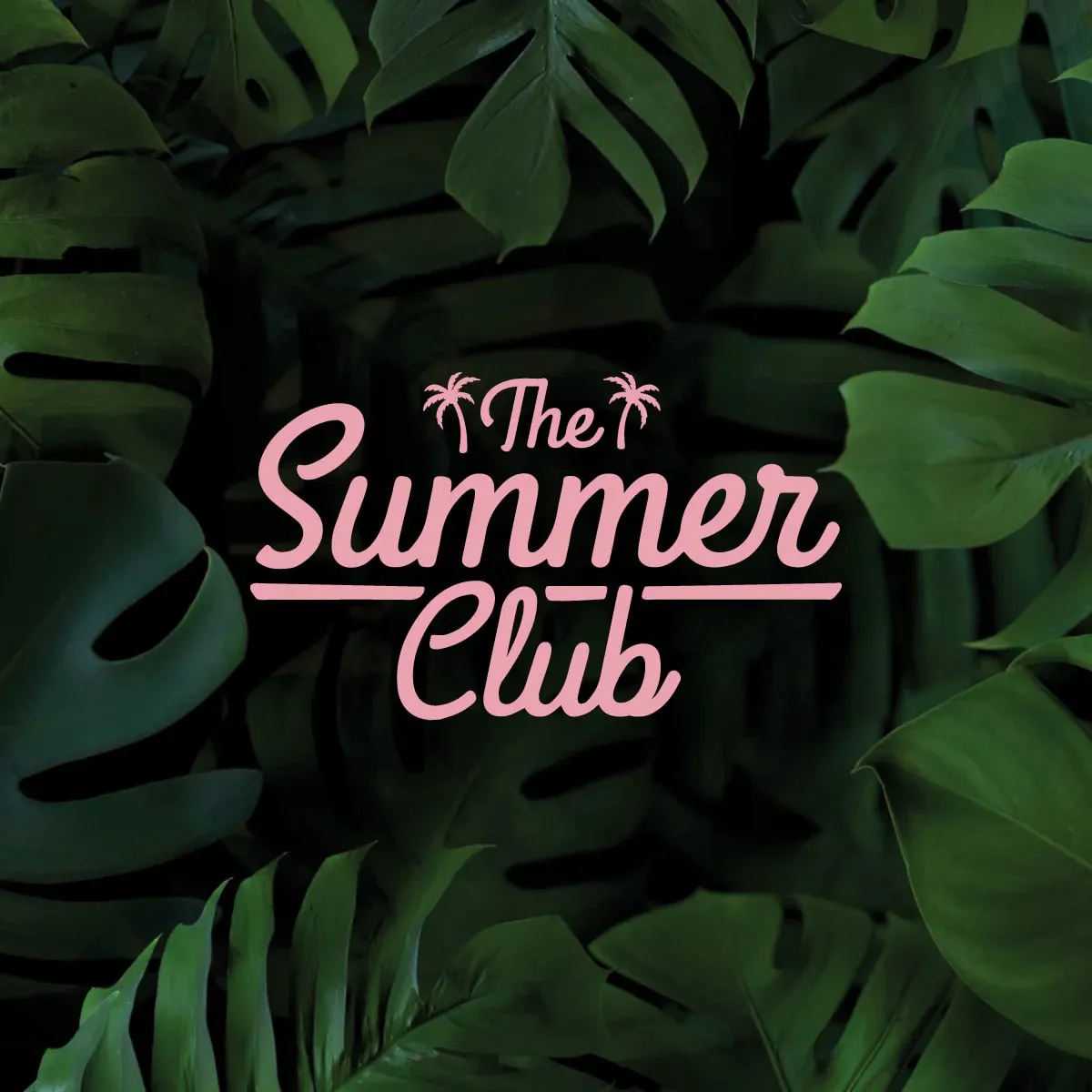 Summer Club Wednesdays