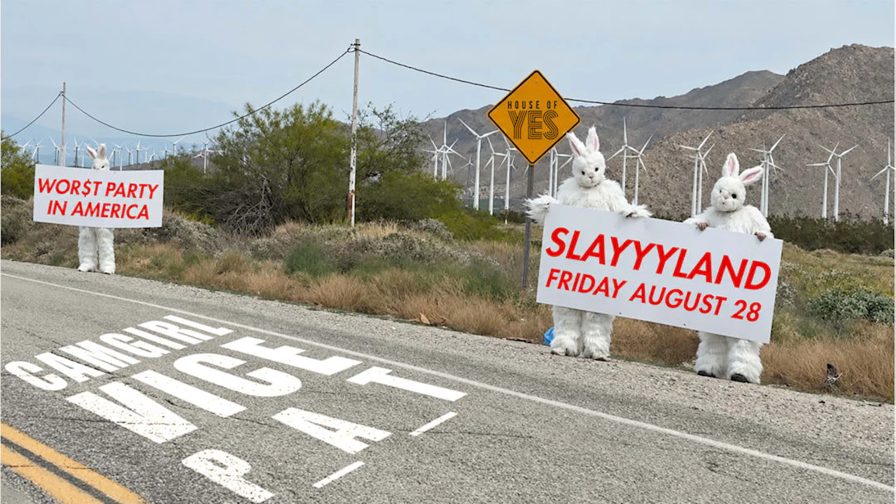 SLAYYYLAND: Cam Girl, Vice, P_A_T