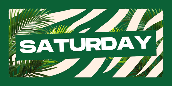44 Toronto Saturdays