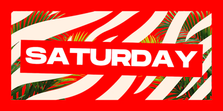 44 Toronto Saturdays