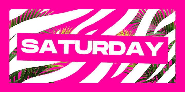 44 Toronto Saturdays