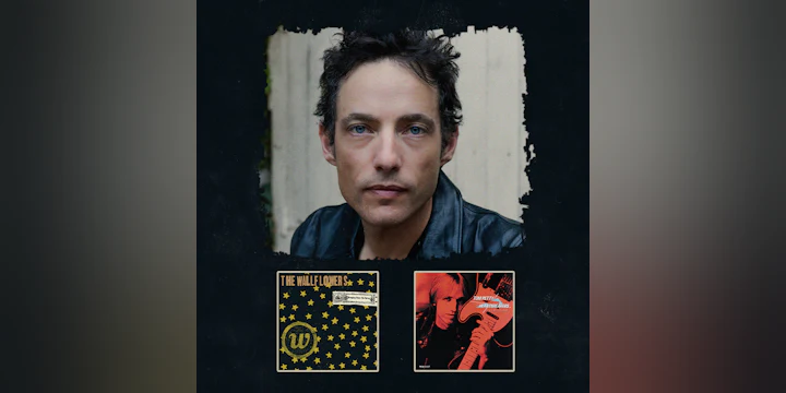 The Wallflowers
