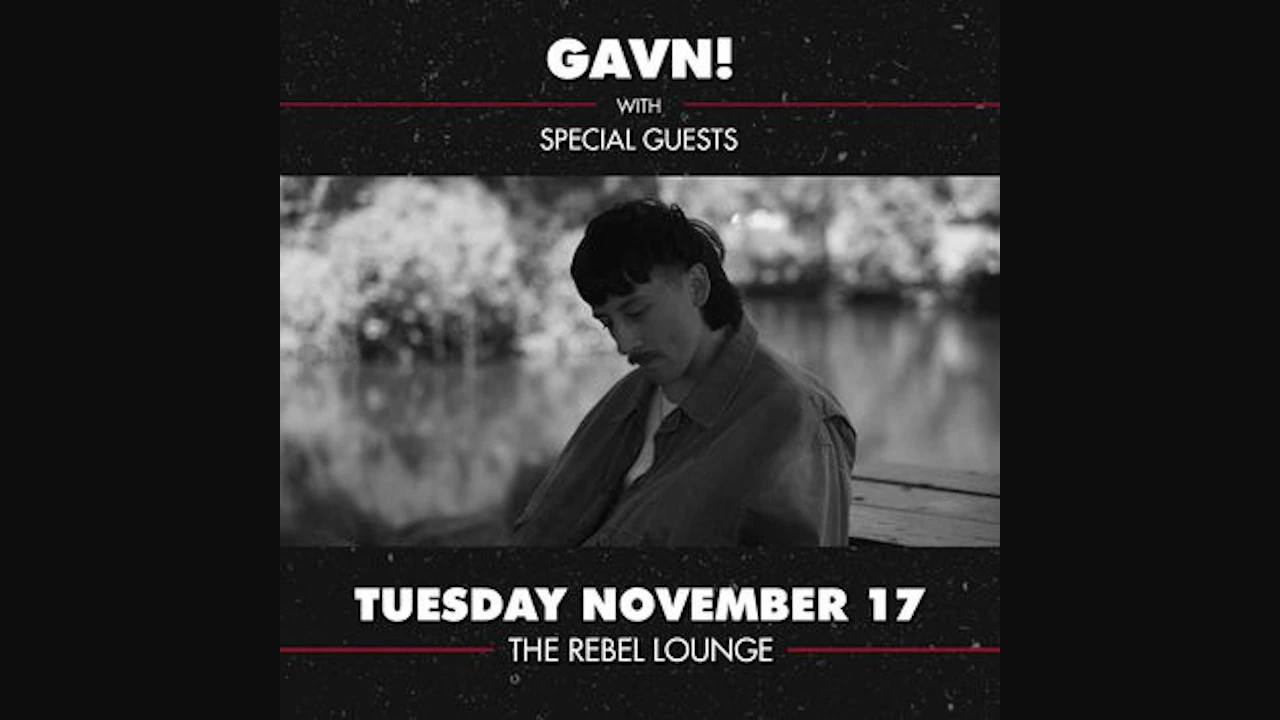 Gavn!