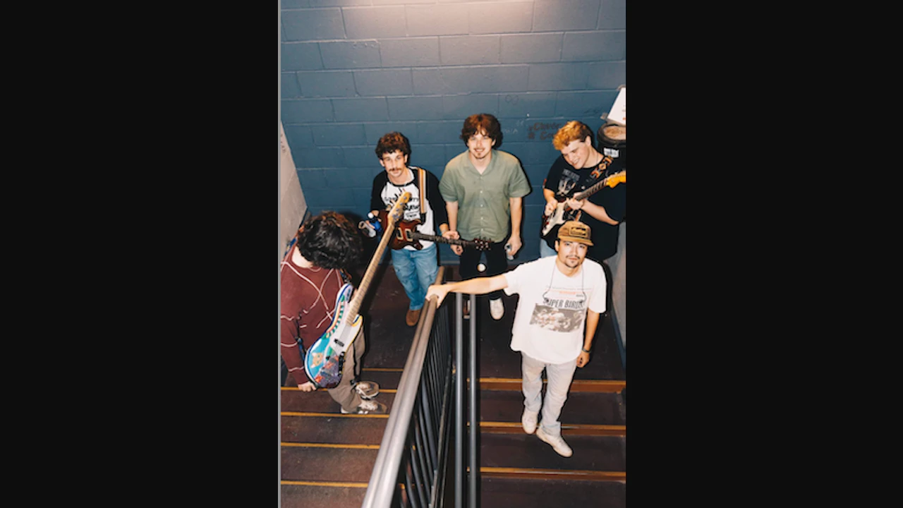 The Gringos
