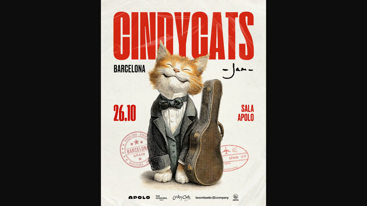 Cindy Cats