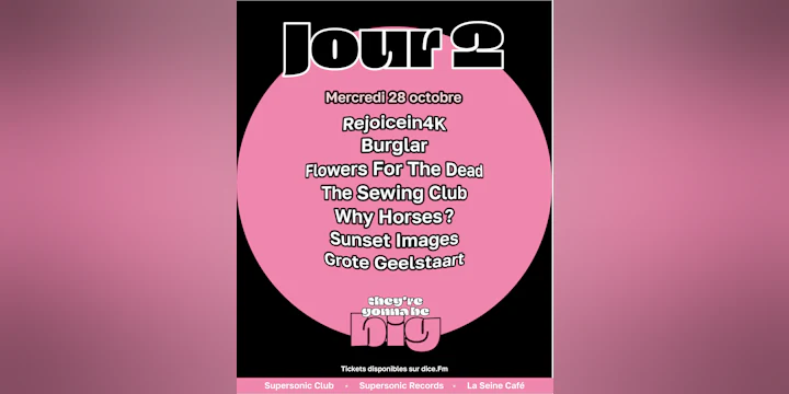 TGBB fest : Rejoincein4K + Burglar + Flowers For The Dead + The Sewing Club + Why Horses? + Sunset Images + Grote Geelstaart