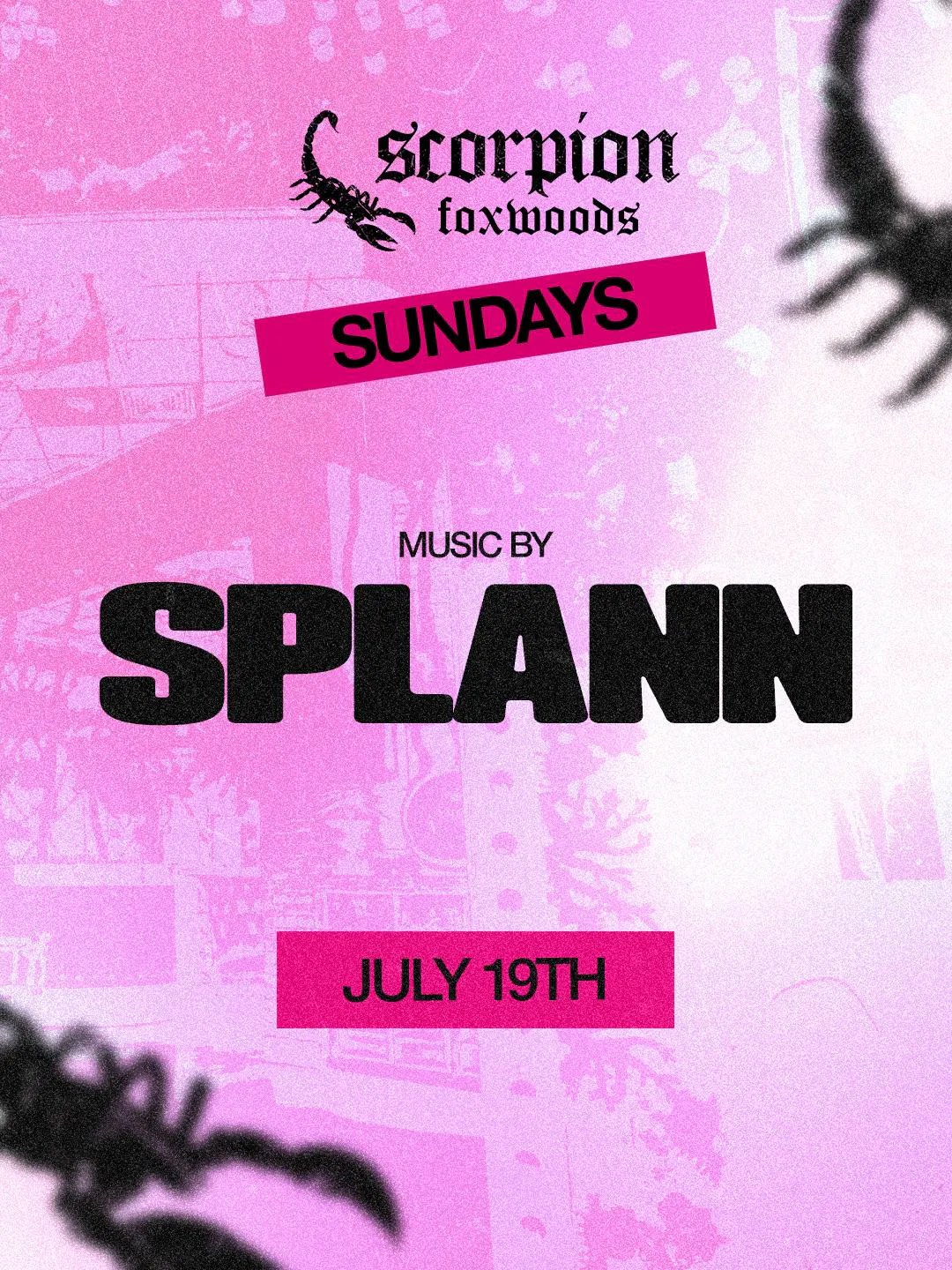 Splann