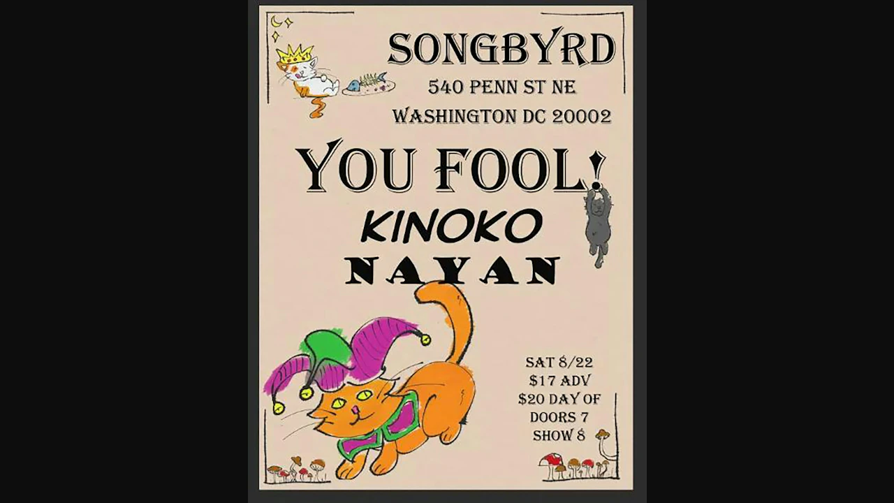 You Fool! (Single Release Show)