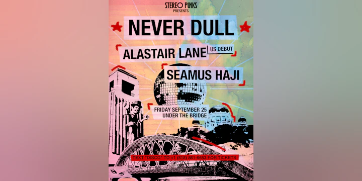 Stereo Punks Presents Never Dull