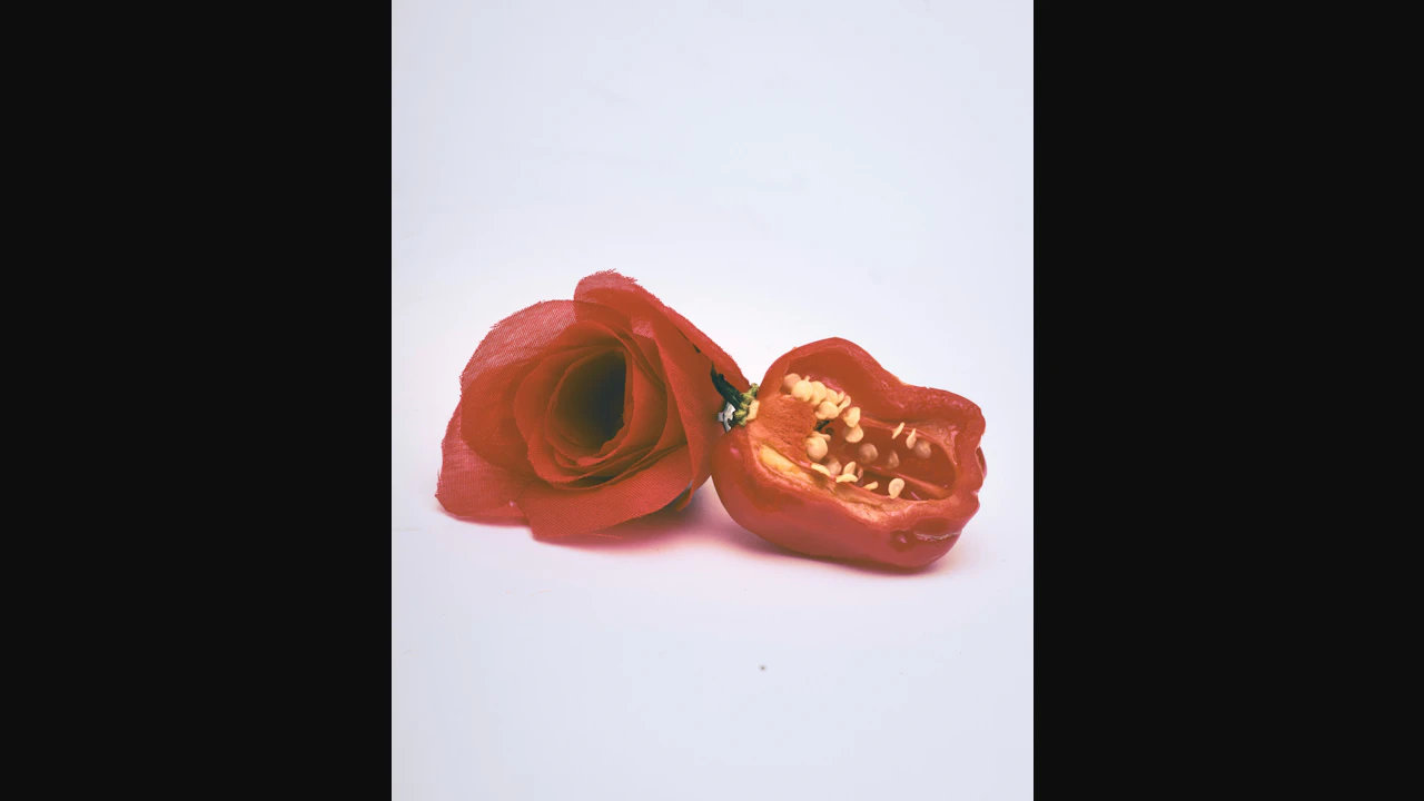 Sunday Tribute - Red Hot Chili Peppers