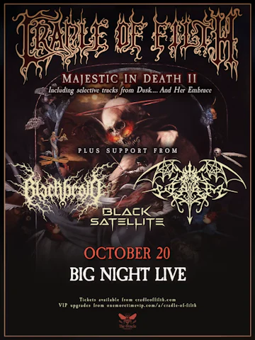 Big Night Live