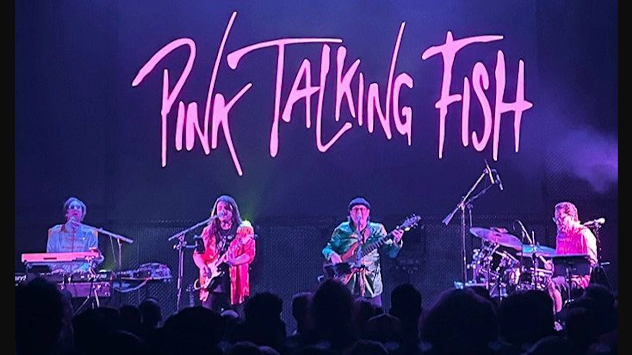 Pink Talking Fish