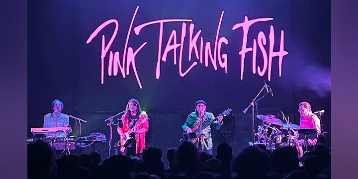 Pink Talking Fish