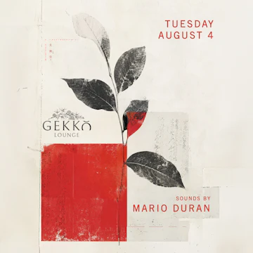 Gekko Lounge