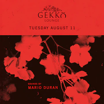 Gekko Lounge