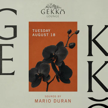 Gekko Lounge